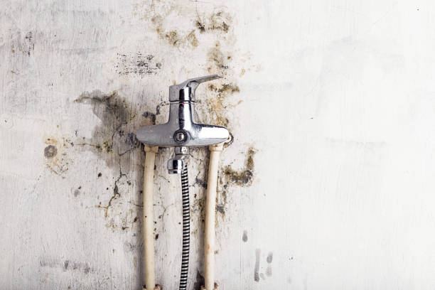 Reliable Center Hill, FL Mold Removal Solutions