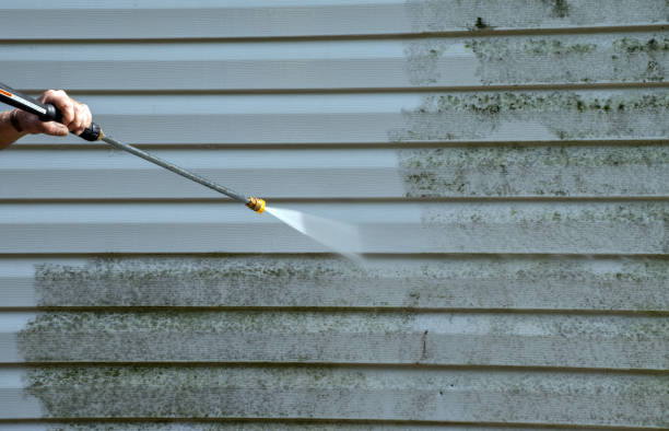 Office Mold Removal Services in Center Hill, FL