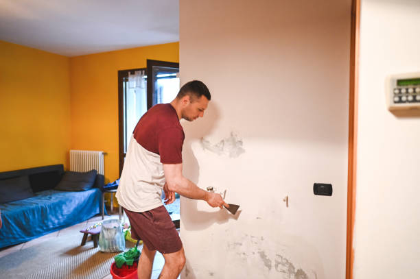 Certified Mold Removal in Center Hill, FL