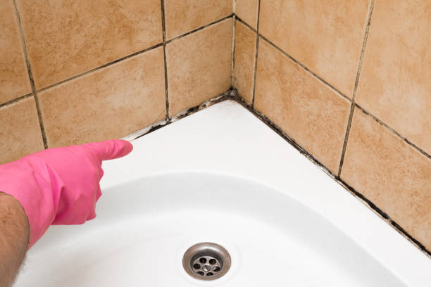 Best Mold Remediation  in Center Hill, FL